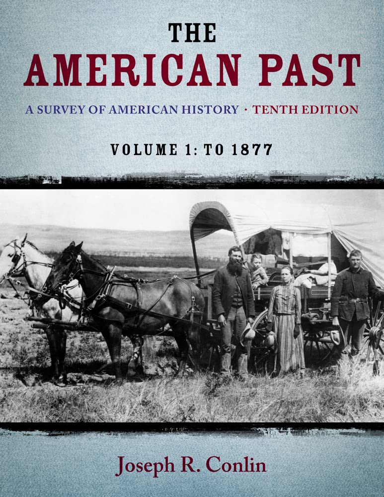 The American Past: A Survey of American History, Volume I: To 1877,Used