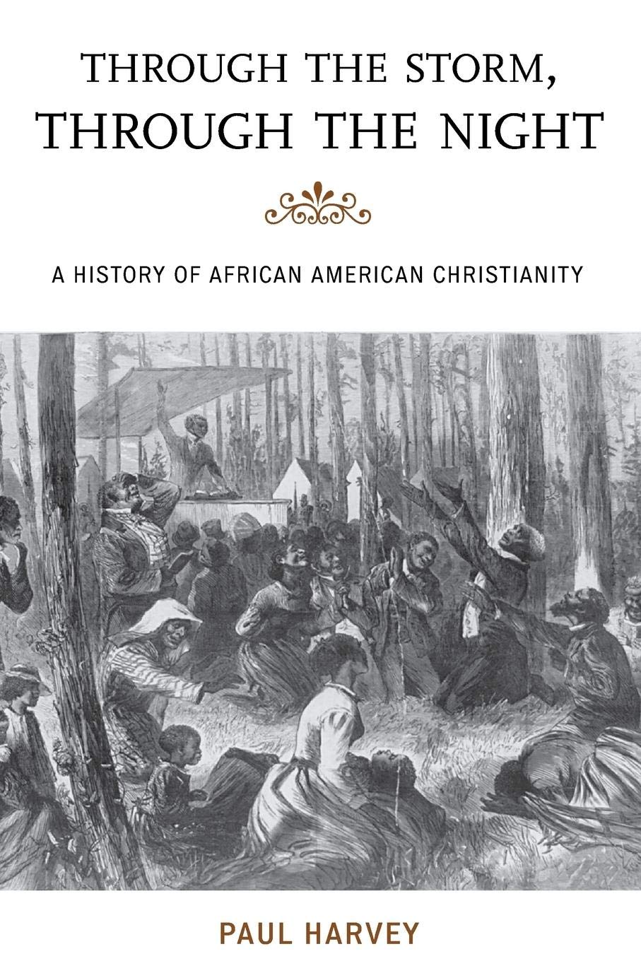 Through the Storm, Through the Night: A History of African American Christianity (The African American Experience Series),Used