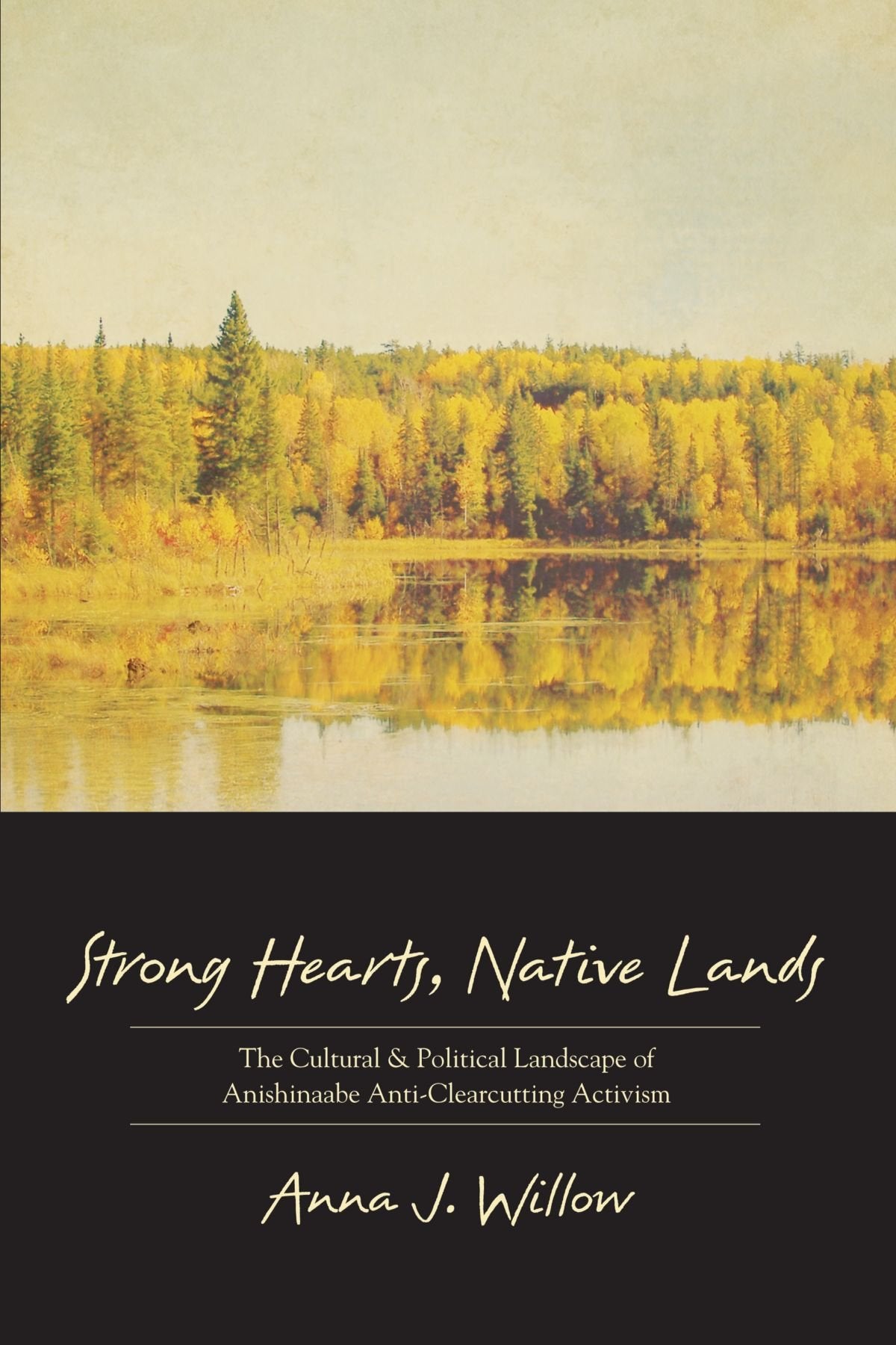 Strong Hearts, Native Lands: The Cultural And Political Landscape Of Anishinaabe Anticlearcutting Activism (Tribal Worlds: Crit,Used