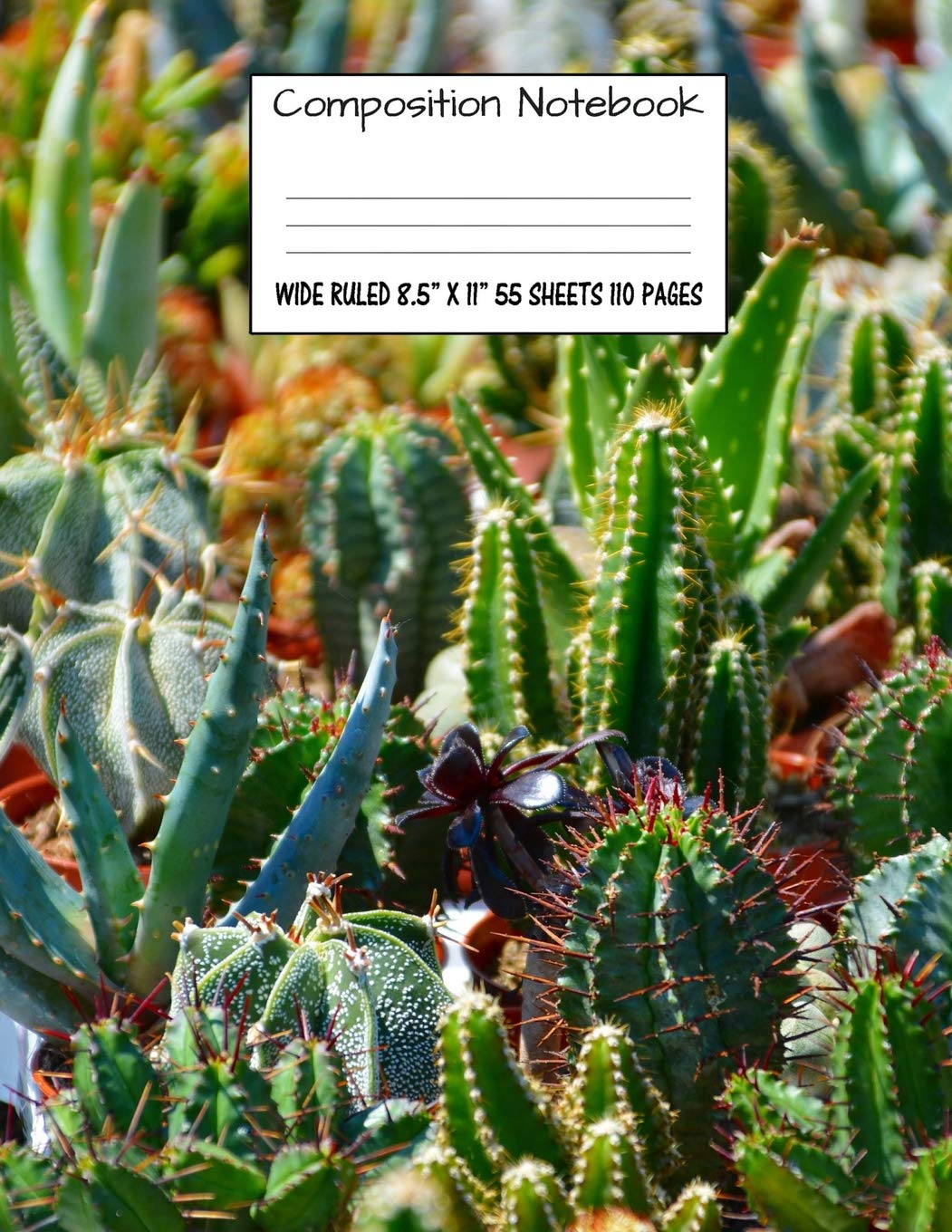 Composition Notebook: Wide Ruled Cactus Cute Composition Notebook, Girl Boy School Notebook, College Notebooks, Composition Book,Used