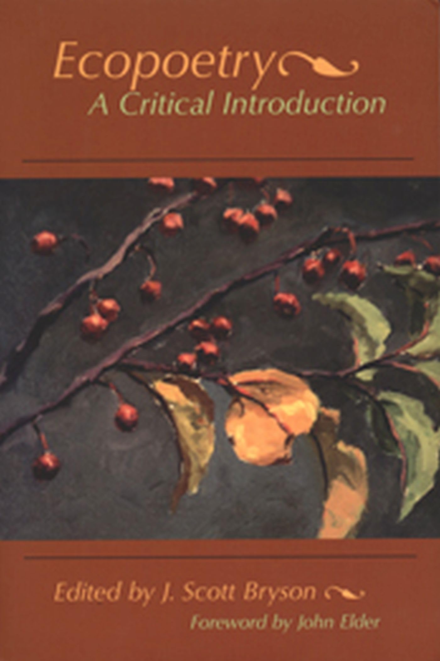 Ecopoetry: A Critical Introduction