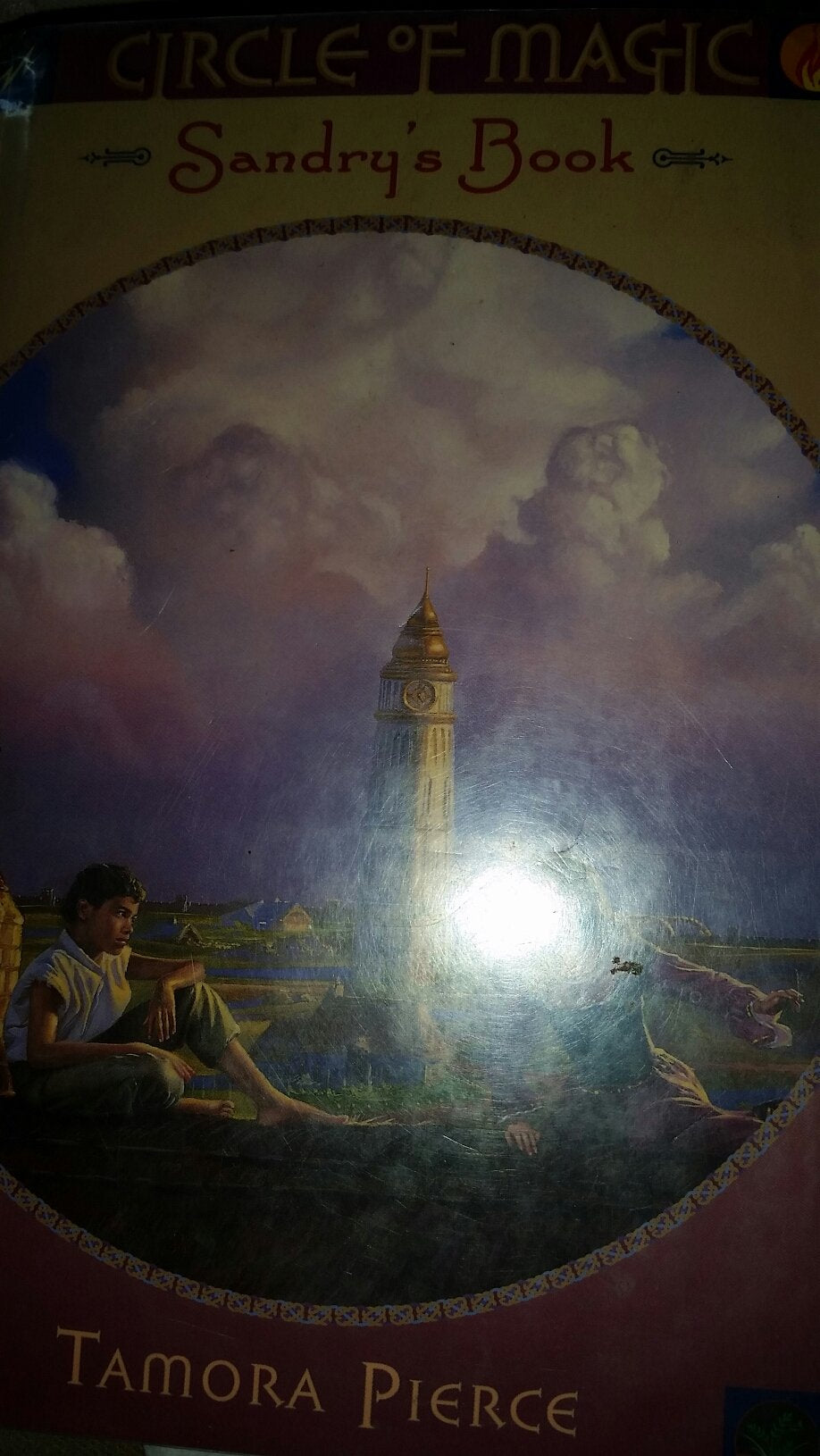 Wild Wood (Circle Of Magic)-used