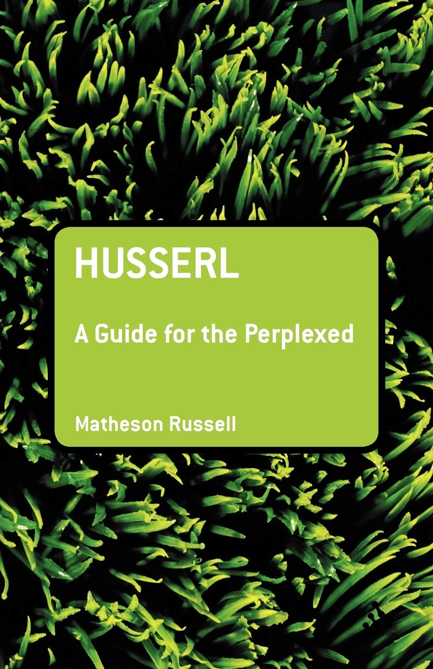 Husserl: A Guide for the Perplexed (Guides for the Perplexed),Used