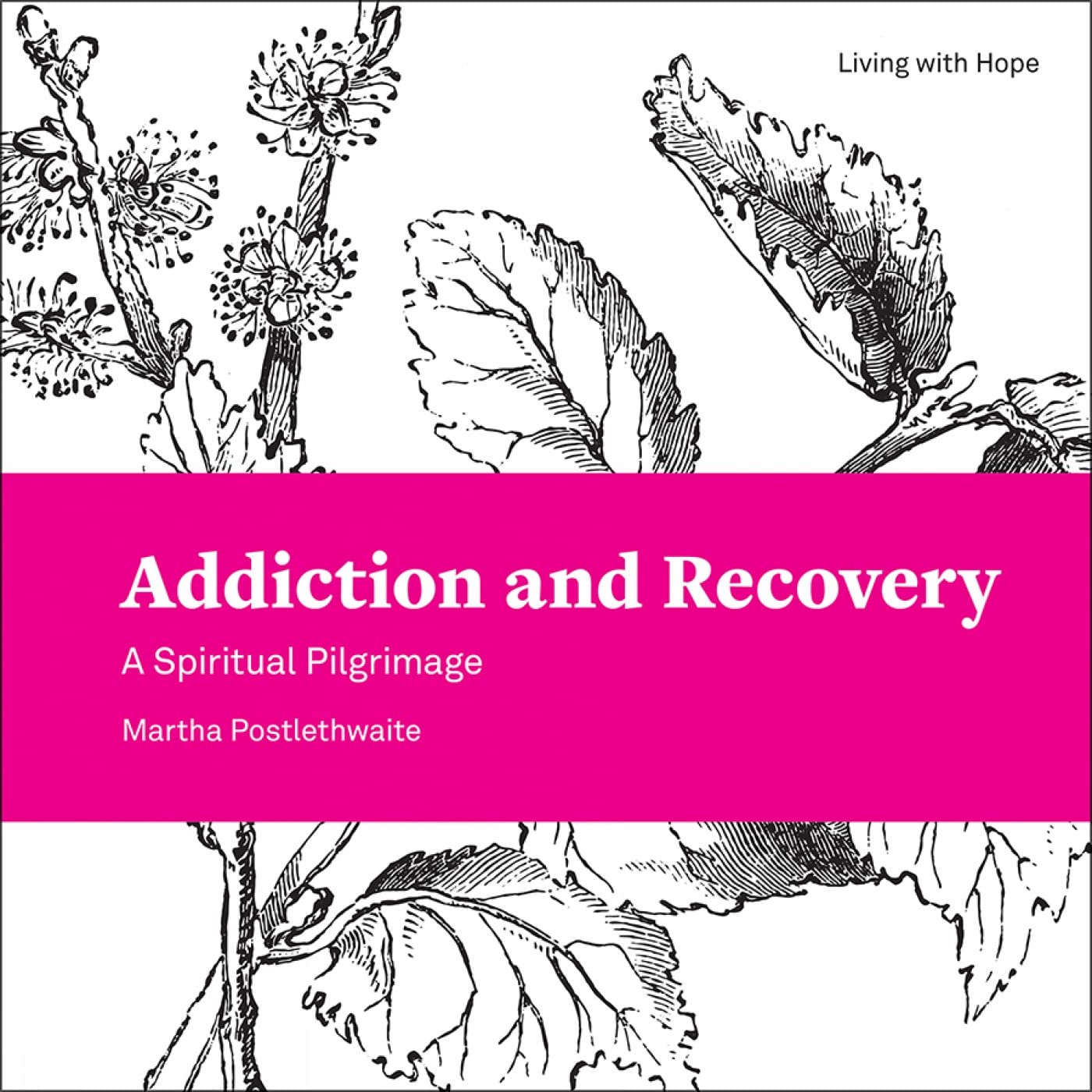 Addiction and Recovery: A Spiritual Pilgrimage (Living With Hope, 9),Used