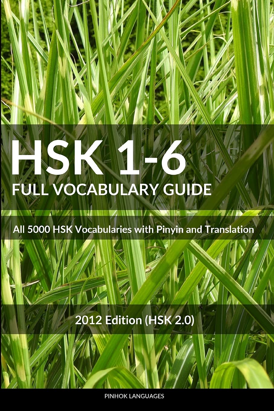 HSK 16 Full Vocabulary Guide: All 5000 HSK Vocabularies with Pinyin and Translation (HSK Vocabulary Books),Used