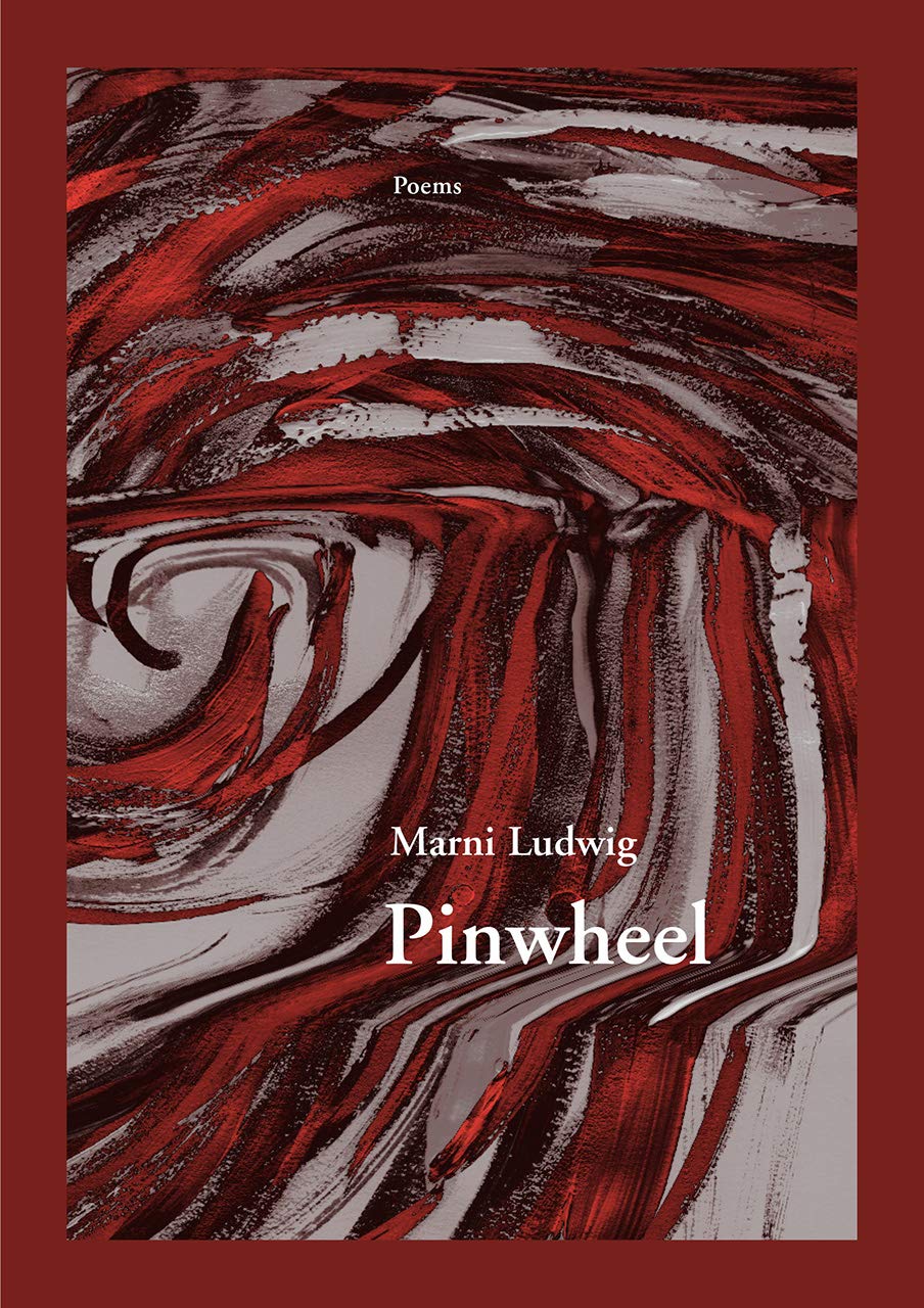 Pinwheel (New Issues Poetry & Prose),Used