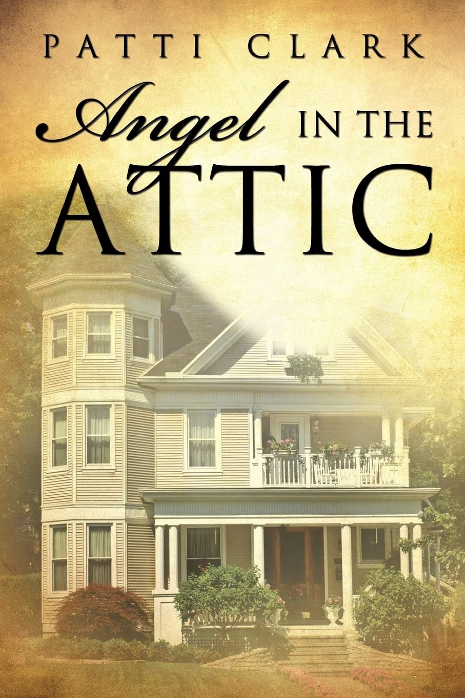 Angel In The Attic,Used