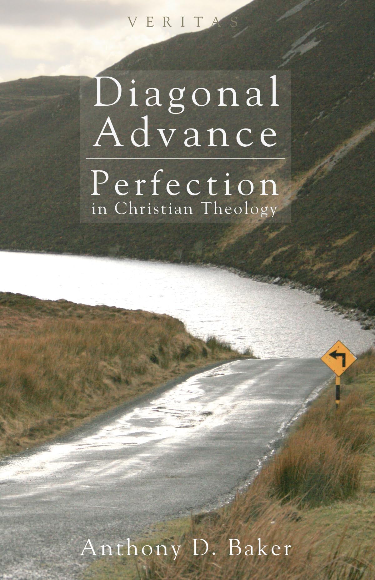 Diagonal Advance: Perfection in Christian Theology (Veritas),Used