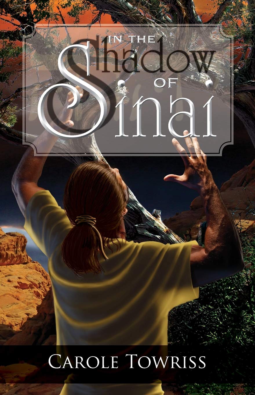 In The Shadow Of Sinai,Used