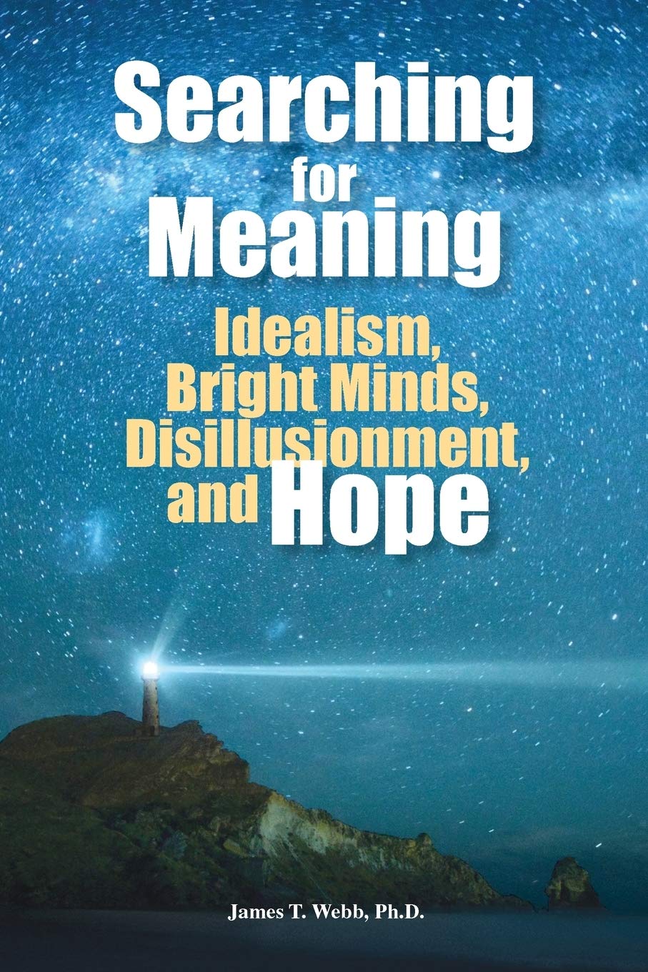 Searching for Meaning: Idealism, Bright Minds, Disillusionment, and Hope,Used