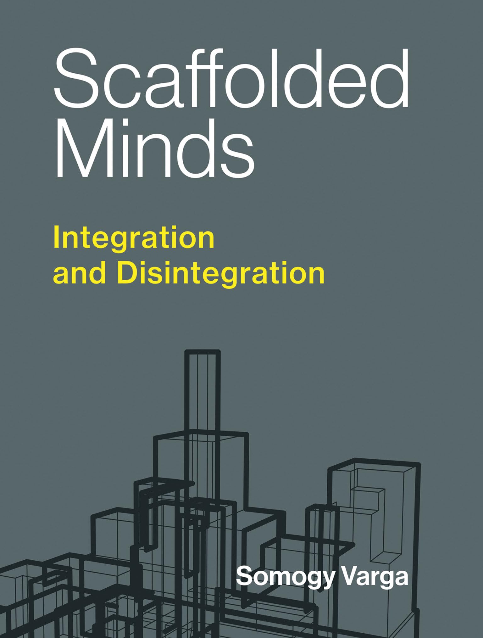 Scaffolded Minds: Integration And Disintegration (Philosophical Psychopathology)