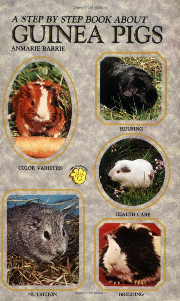 StepByStep Book About Guinea Pigs,Used