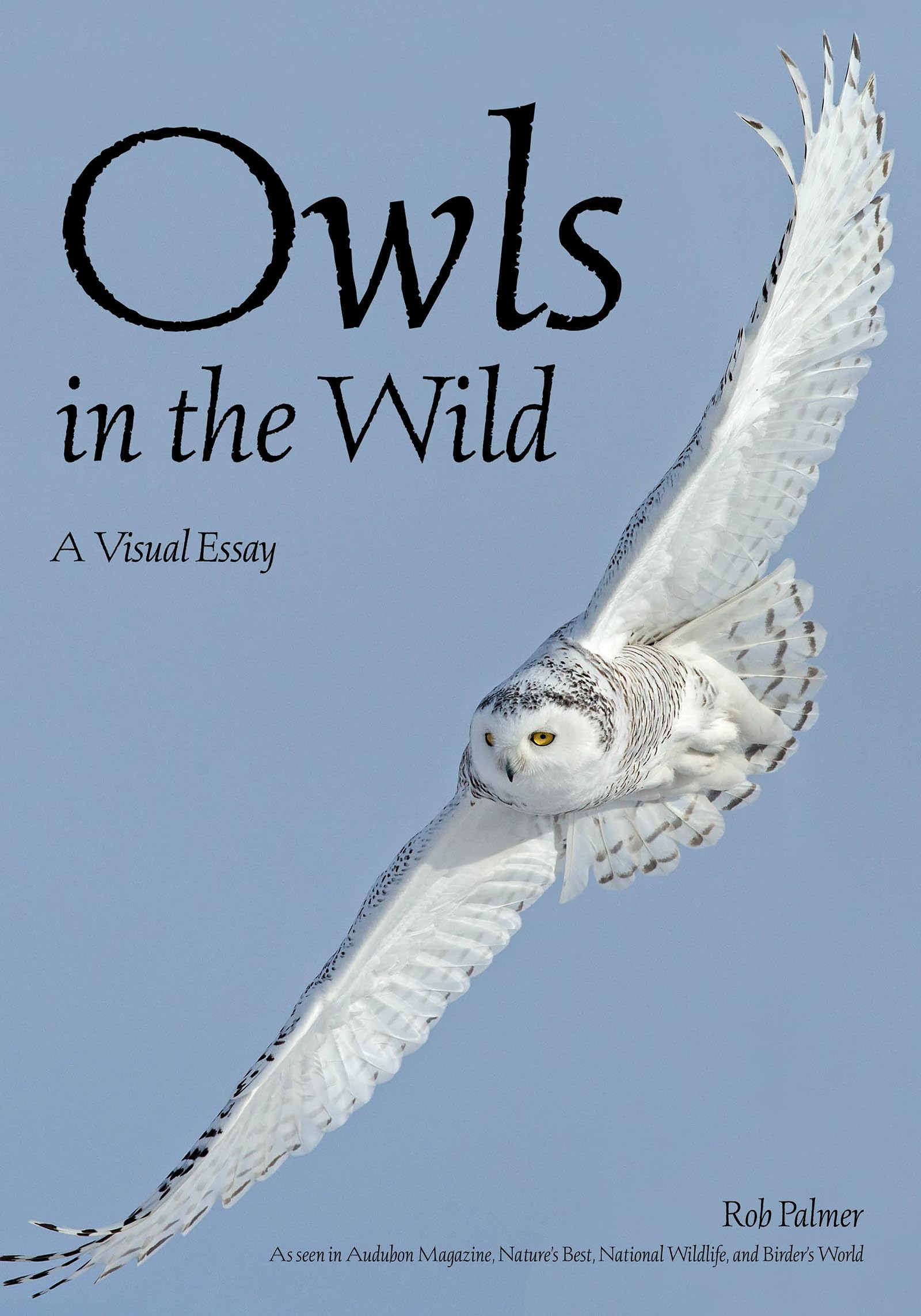 Owls In The Wild: A Visual Essay,Used