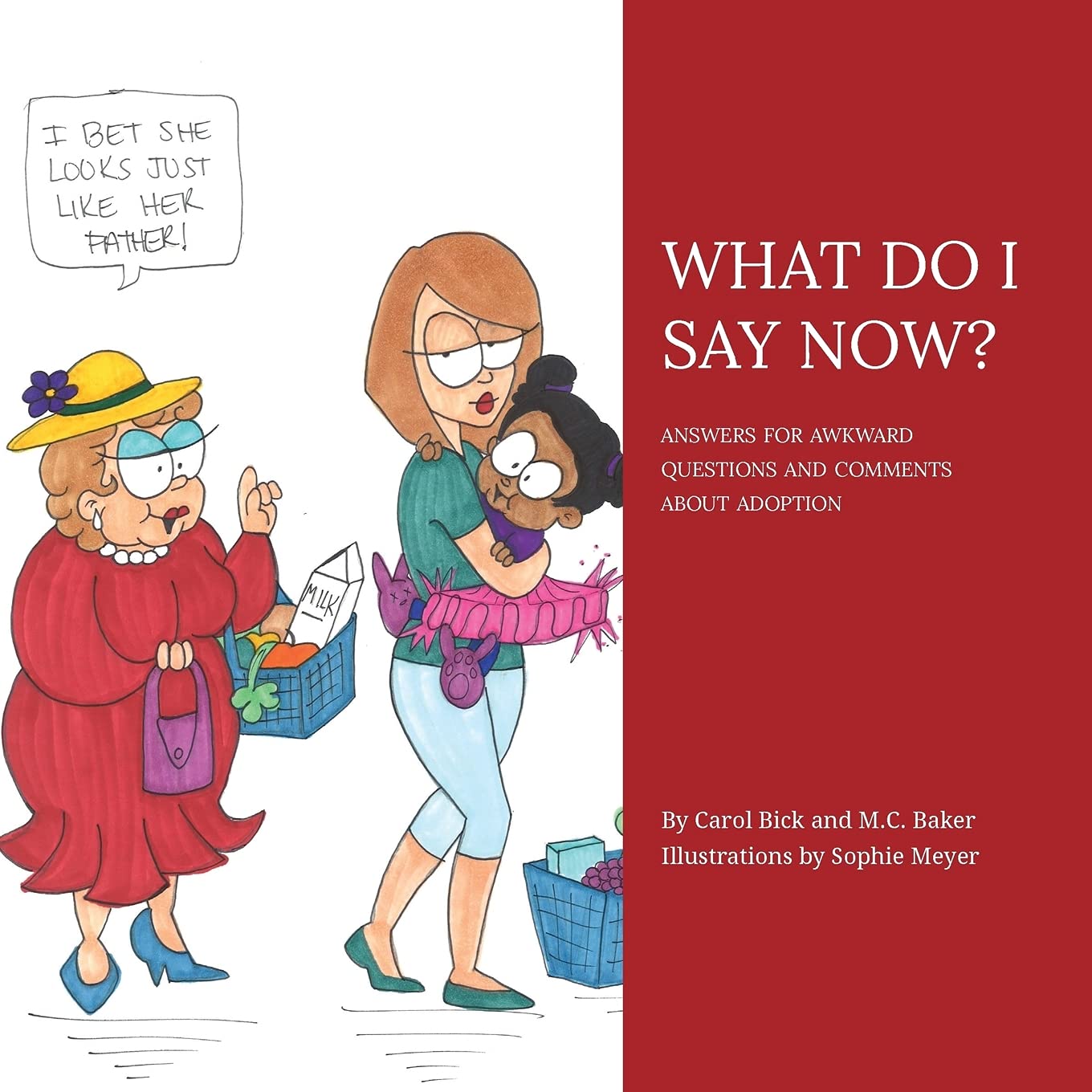 What Do I Say Now?: Answers for Awkward Questions and Comments about Adoption,Used