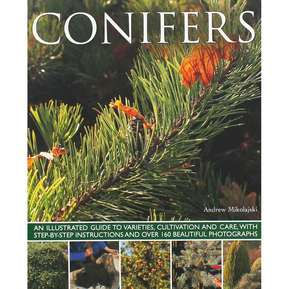 Conifers: An Illustrated Guide To Varieties, Cultivation And Care, With Stepbystep Instructions And Over 160 Beautiful Photogr,Used