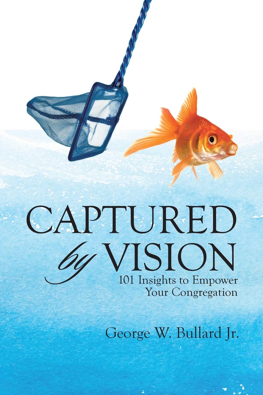 Captured by Vision,Used