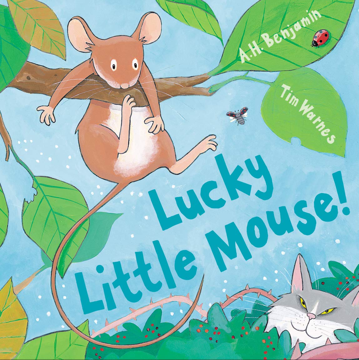 Lucky Little Mouse (Mini Hardbacks),New