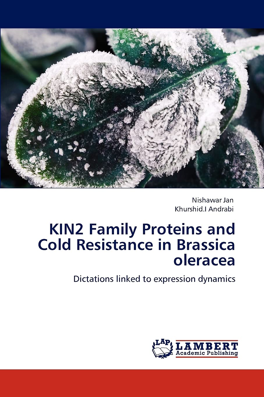 KIN2 Family Proteins and Cold Resistance in Brassica oleracea: Dictations linked to expression dynamics,Used