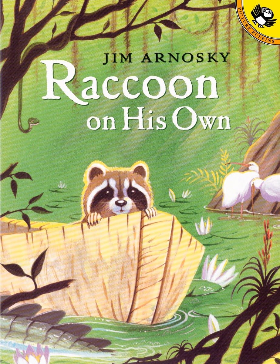 Raccoon On His Own (Picture Puffin Books),Used