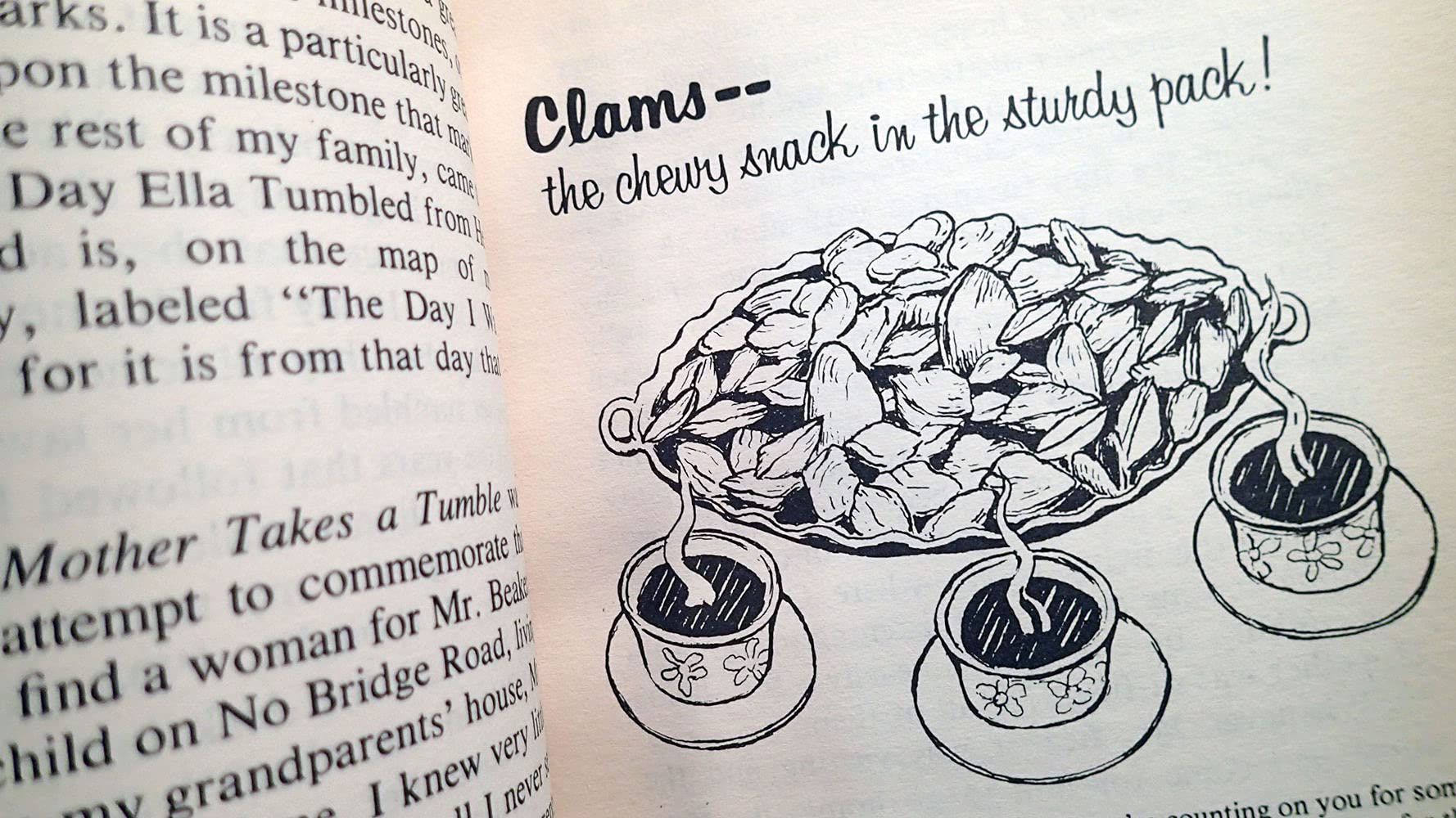 My Mother Takes a Tumble (Personal History, Adventures, Experiences & Observations of),Used