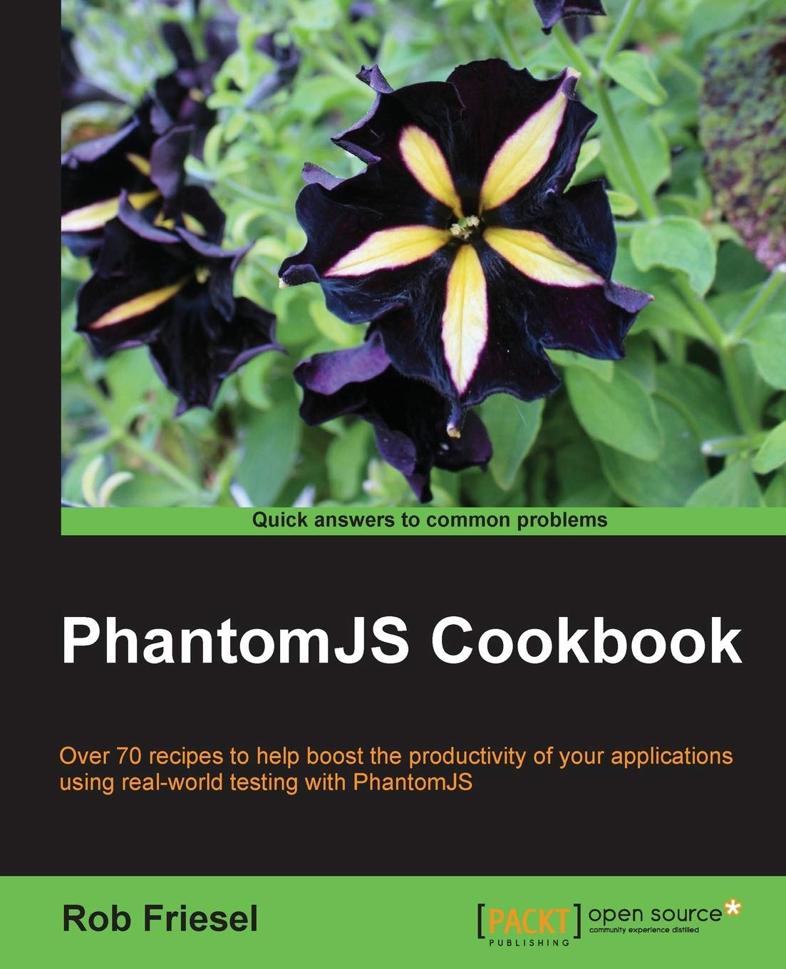 Phantomjs Cookbook,Used