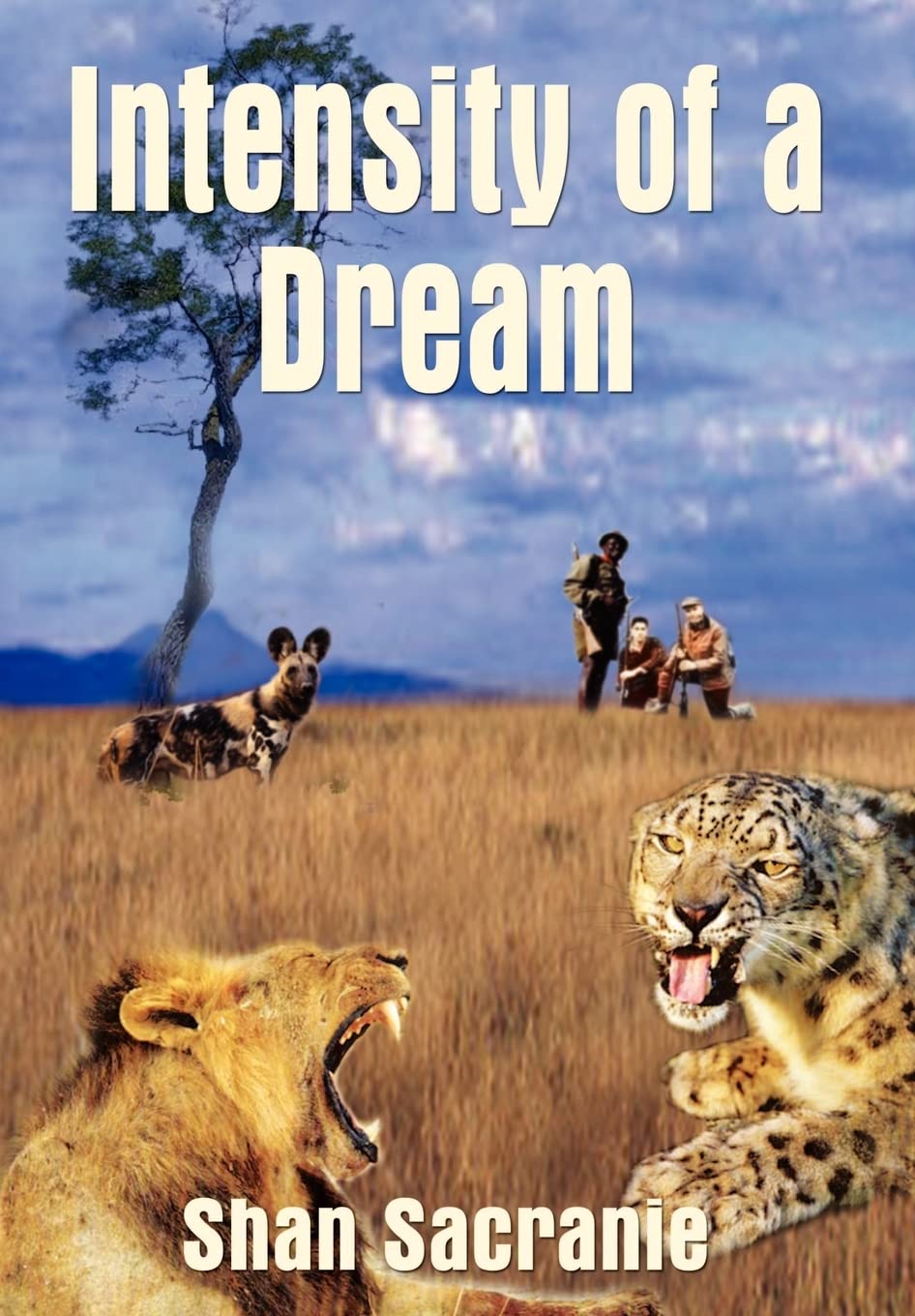 Intensity of a Dream,Used