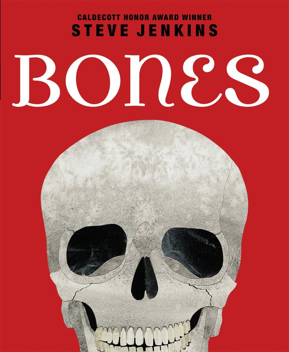 Bones: Skeletons And How They Work,Used