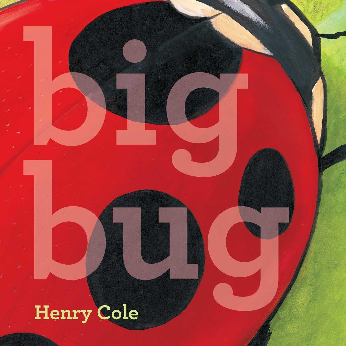 Big Bug,Used