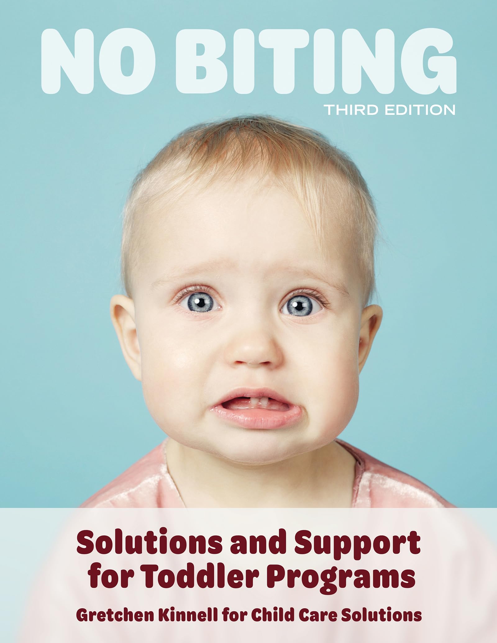 No Biting, Third Edition: Solutions and Support for Toddler Programs,Used