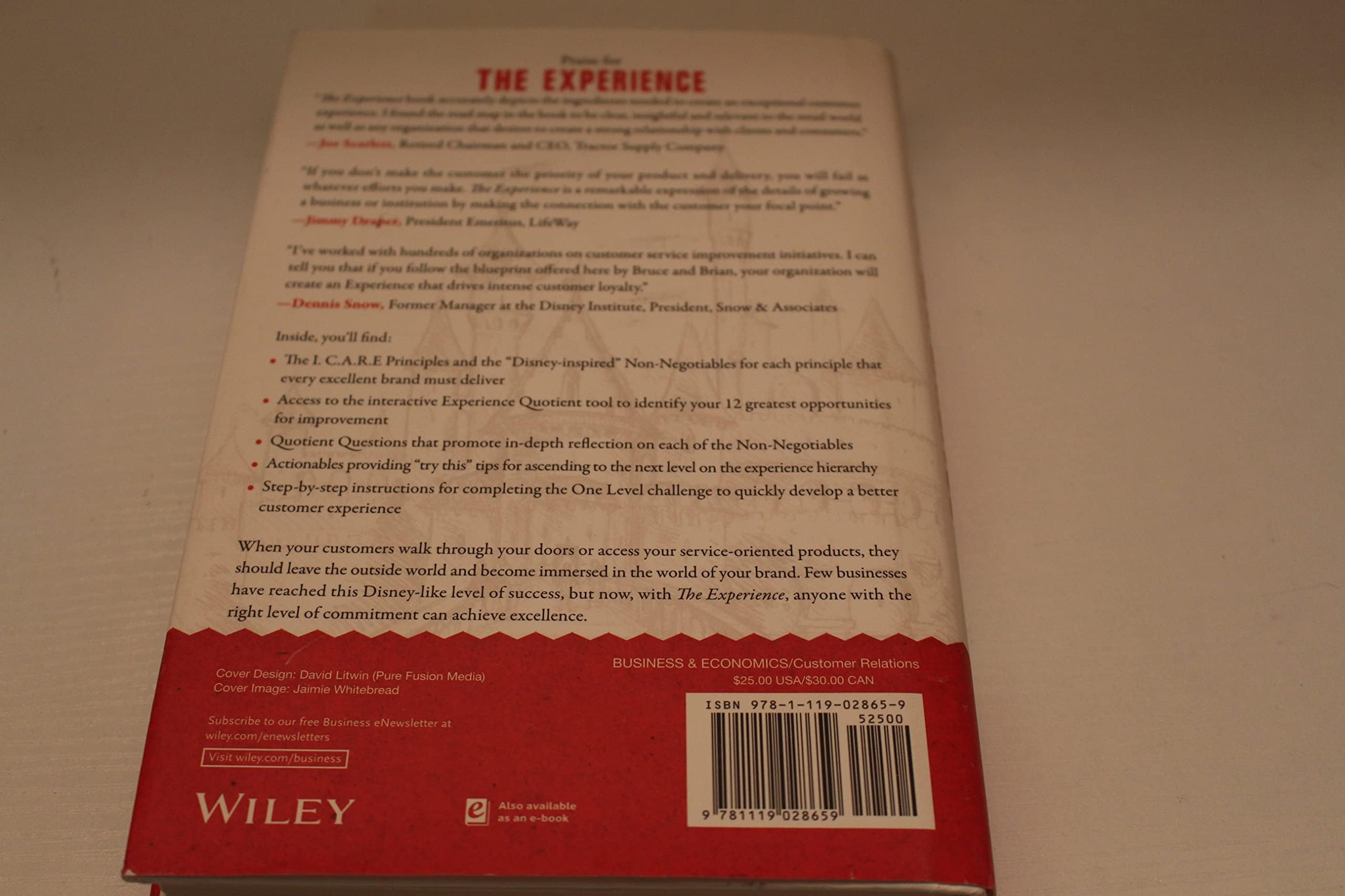 The Experience: The 5 Principles of Disney Service and Relationship Excellence,Used