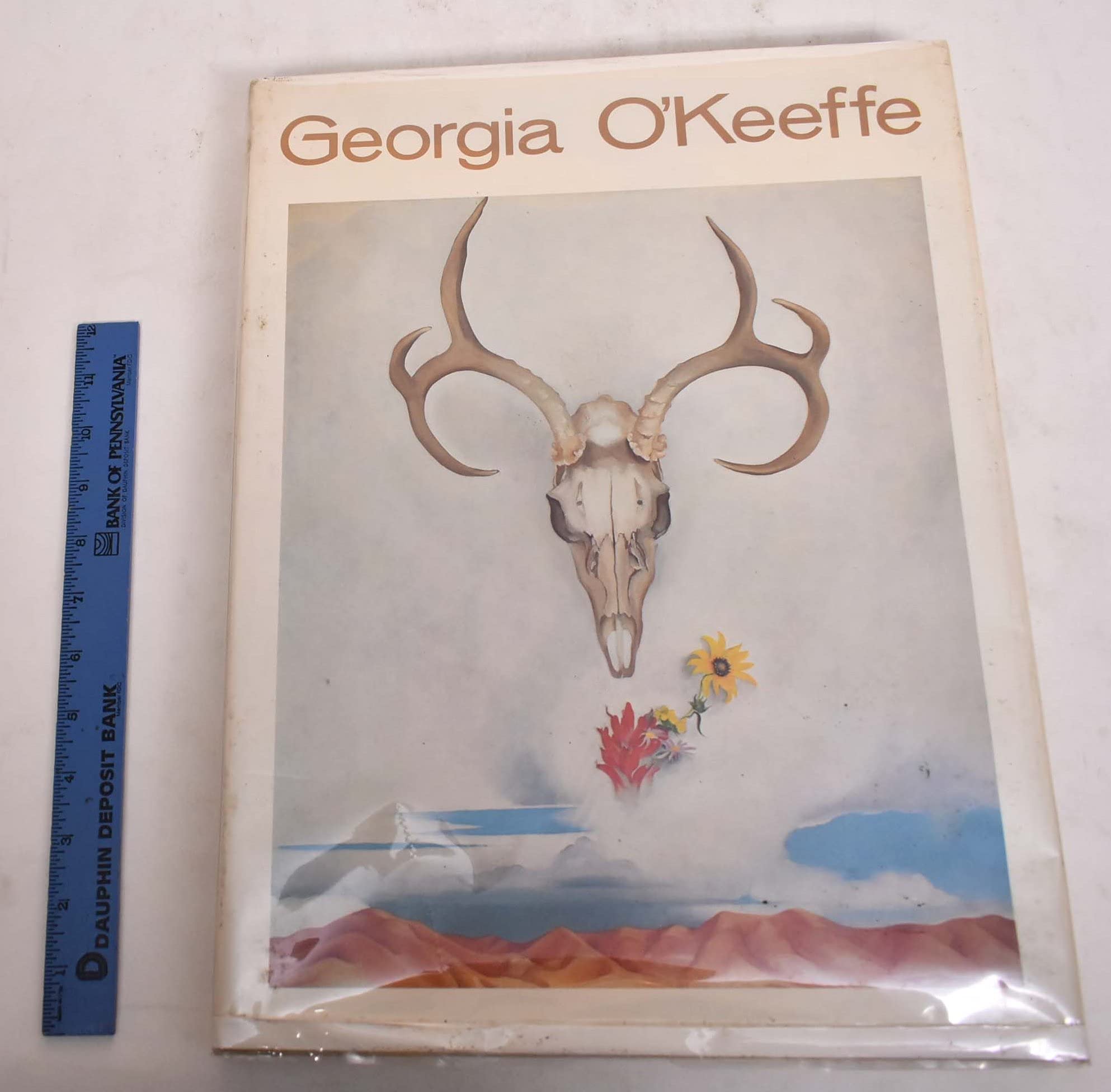 Georgia O'Keeffe (A Studio Book),New