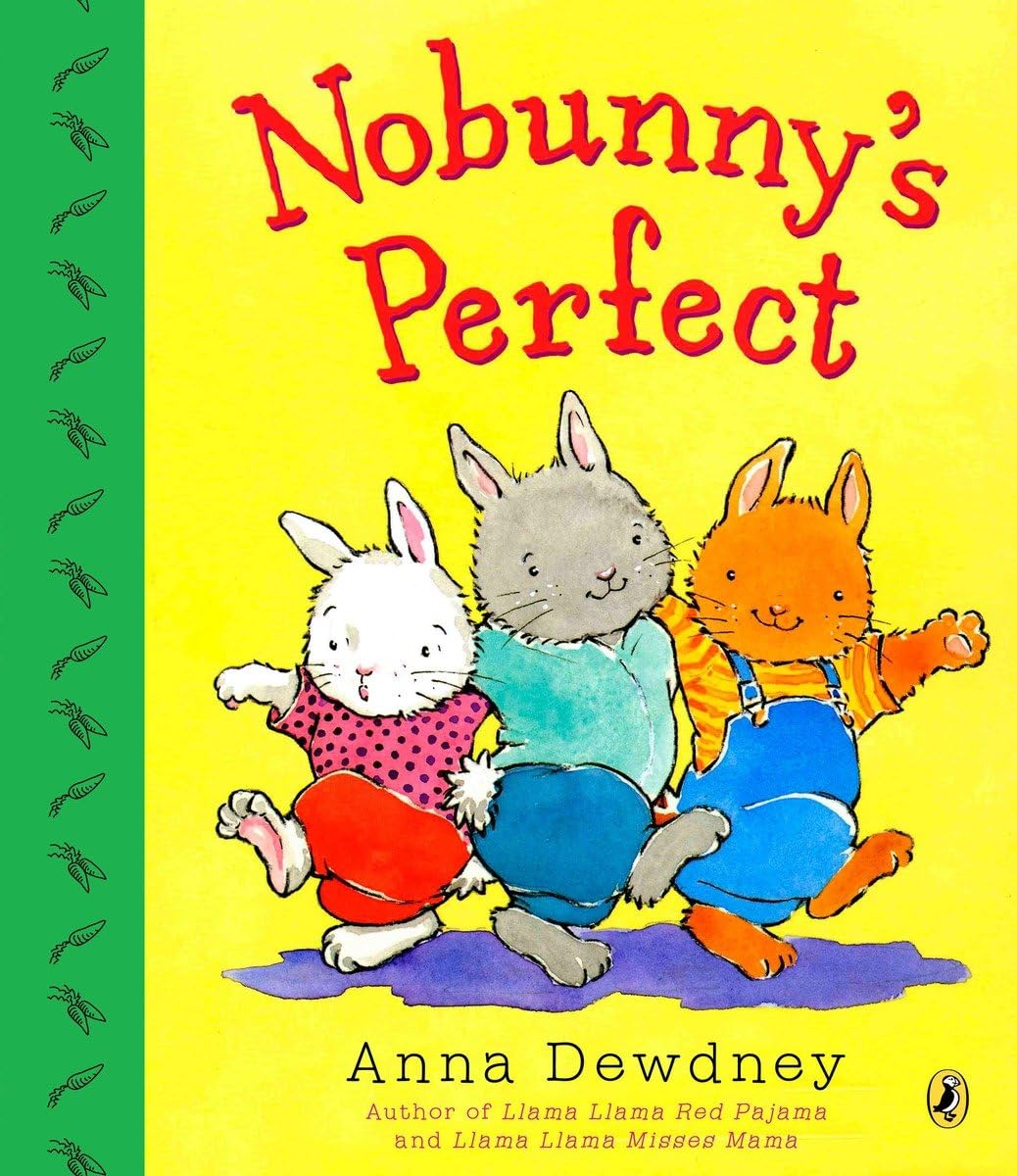 Nobunny's Perfect,Used