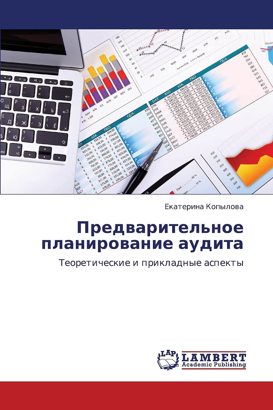 Predvaritel'noe planirovanie audita: Teoreticheskie i prikladnye aspekty (Russian Edition),Used