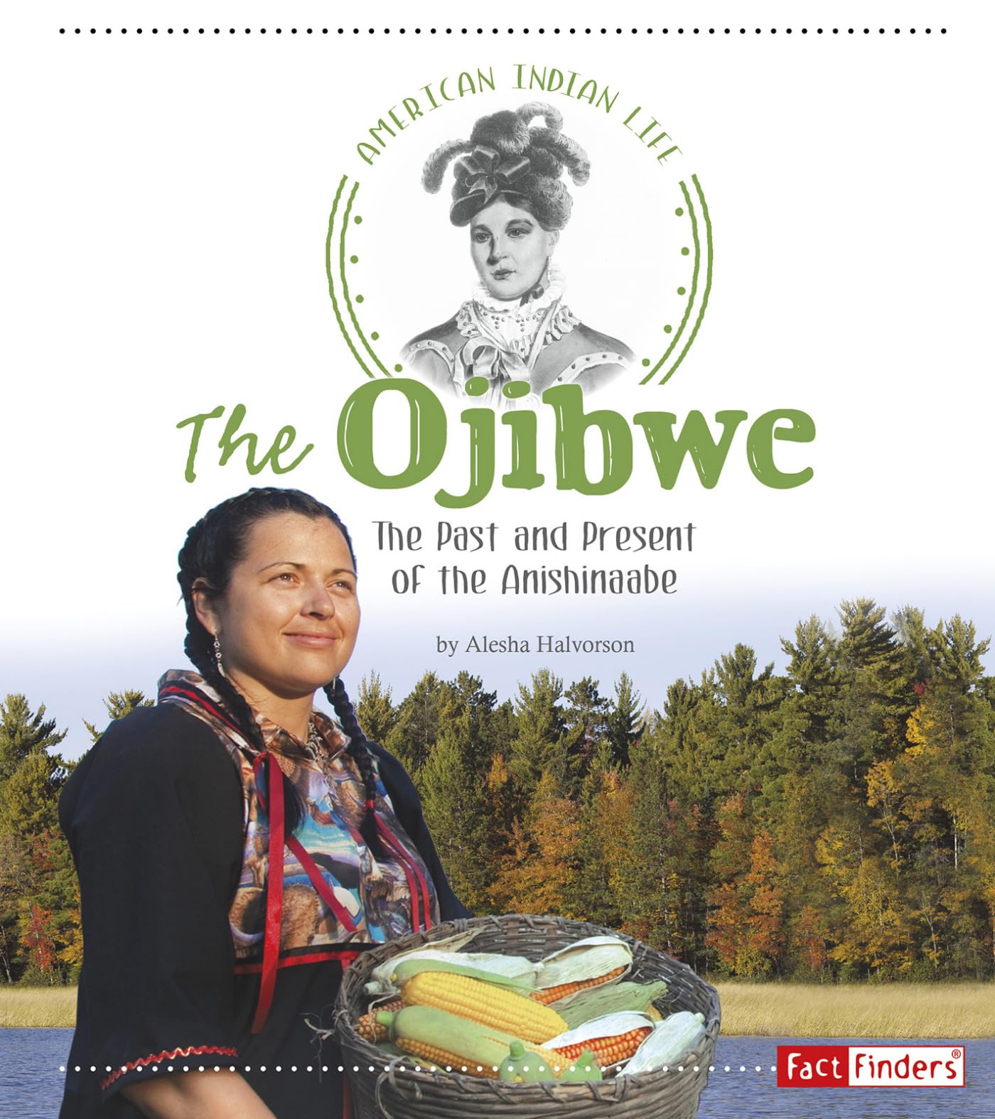 The Ojibwe: The Past and Present of the Anishinaabe (American Indian Life),Used