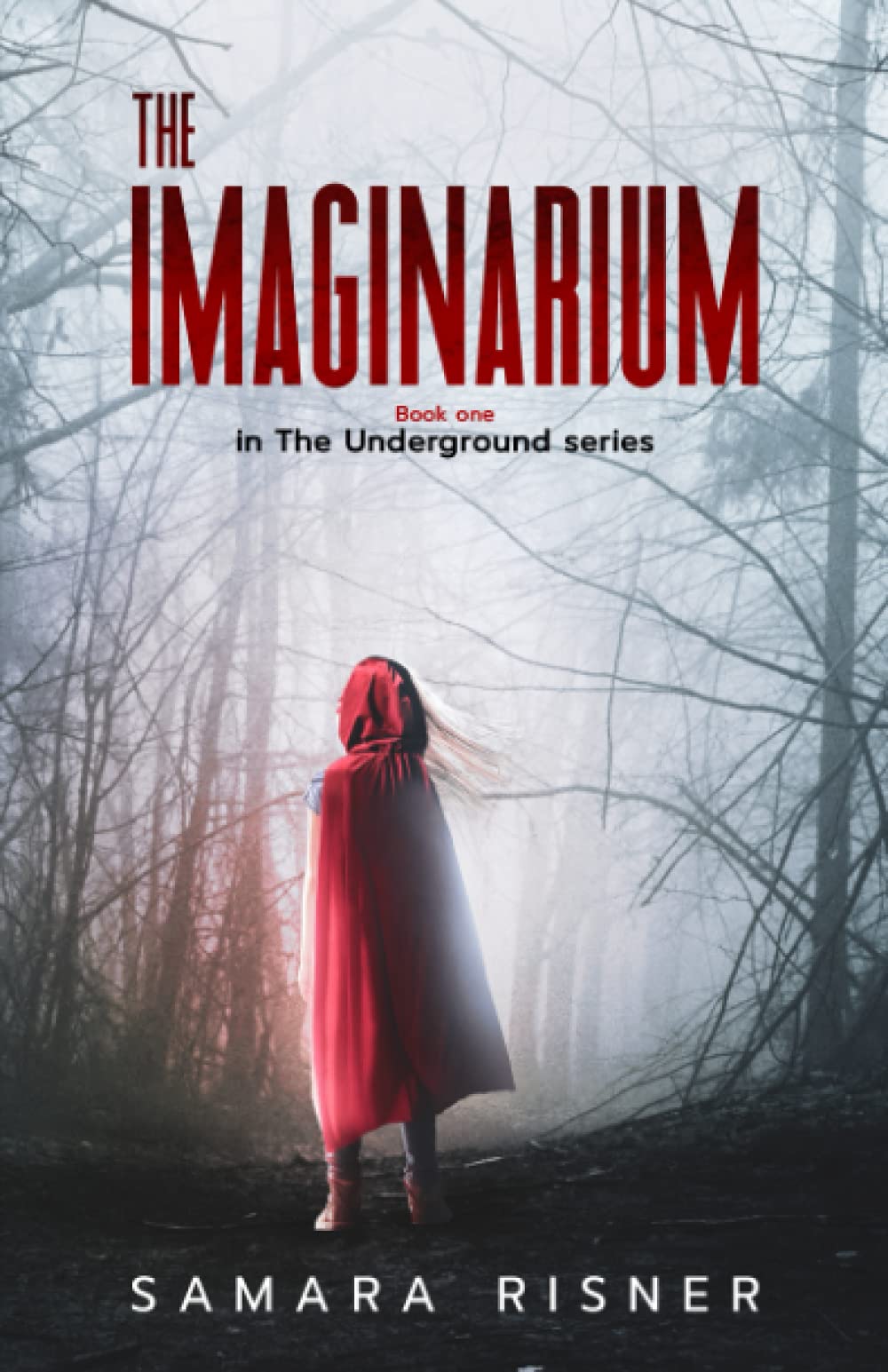 The Imaginarium: Book one in the underground series,Used