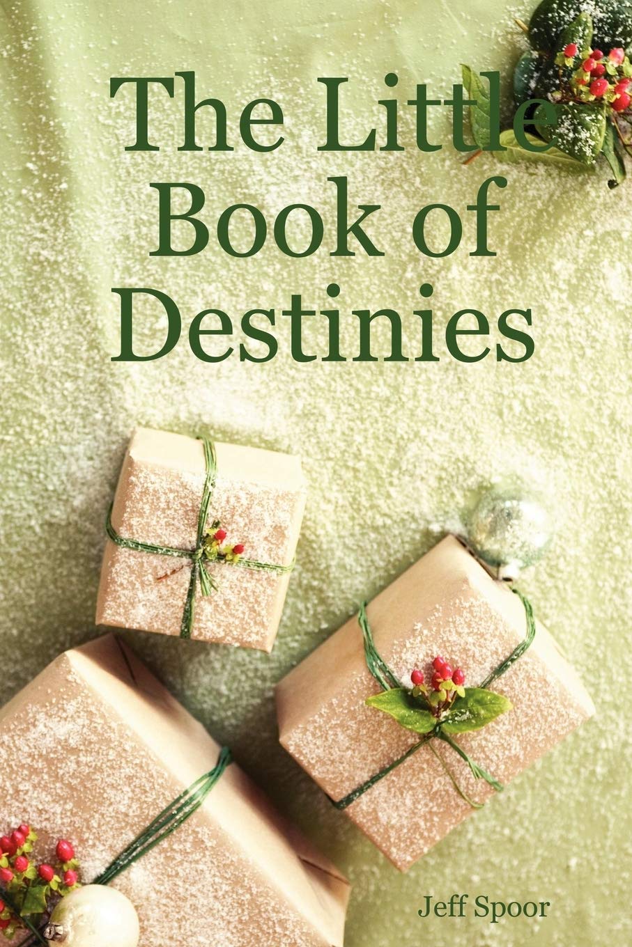The Little Book Of Destinies,Used