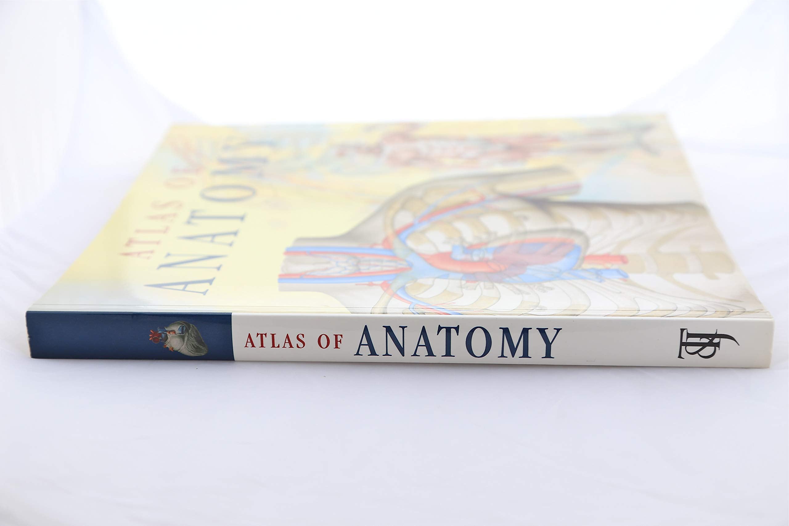 Atlas Of Anatomy,New