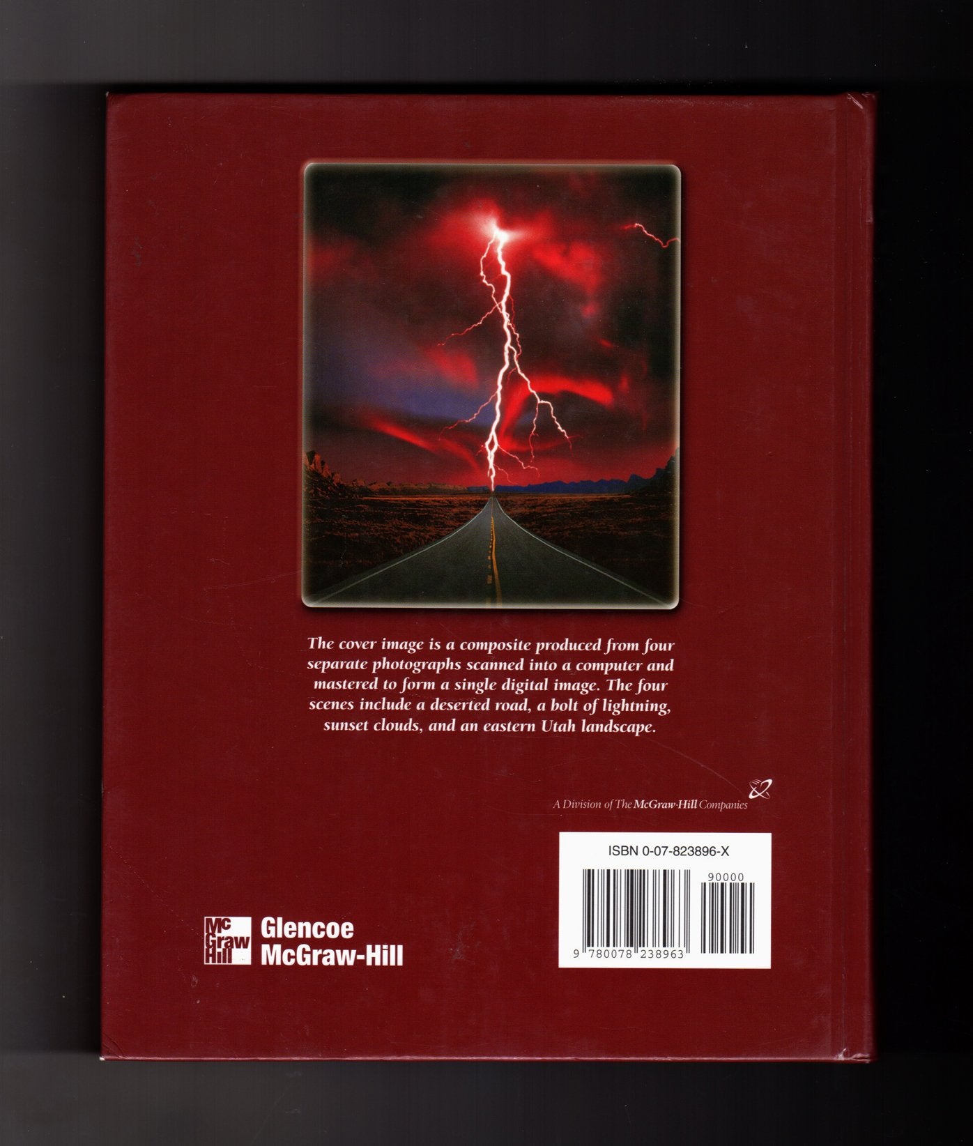 Glencoe Physics: Principles and Problems (Glencoe Science Professional),Used