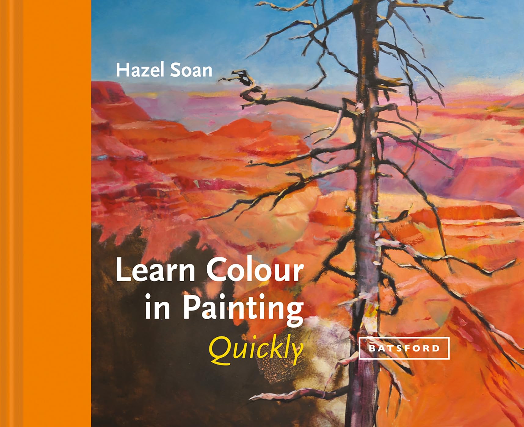 Learn Colour In Painting Quickly,Used