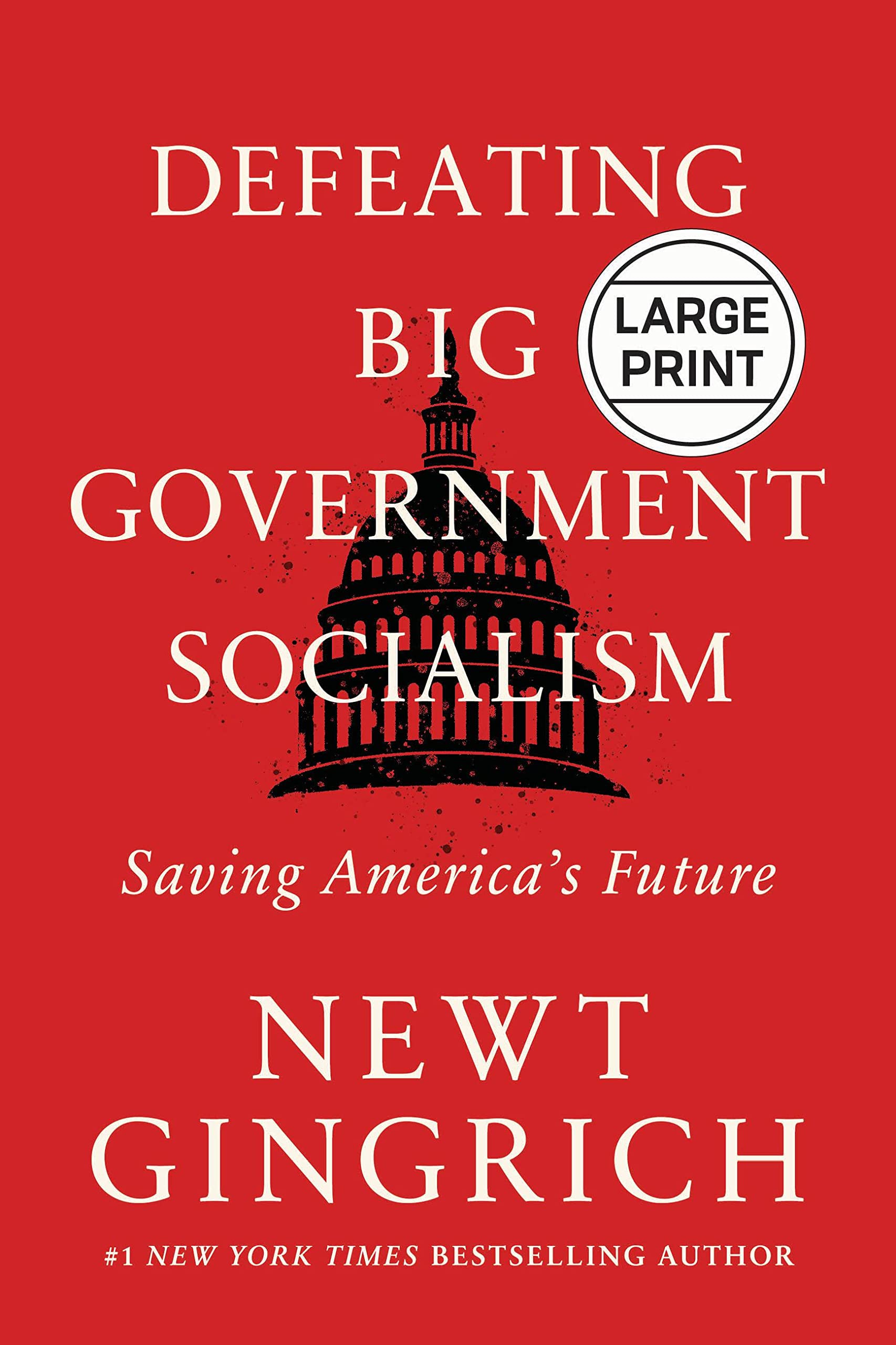 Defeating Big Government Socialism: Saving Americas Future,Used