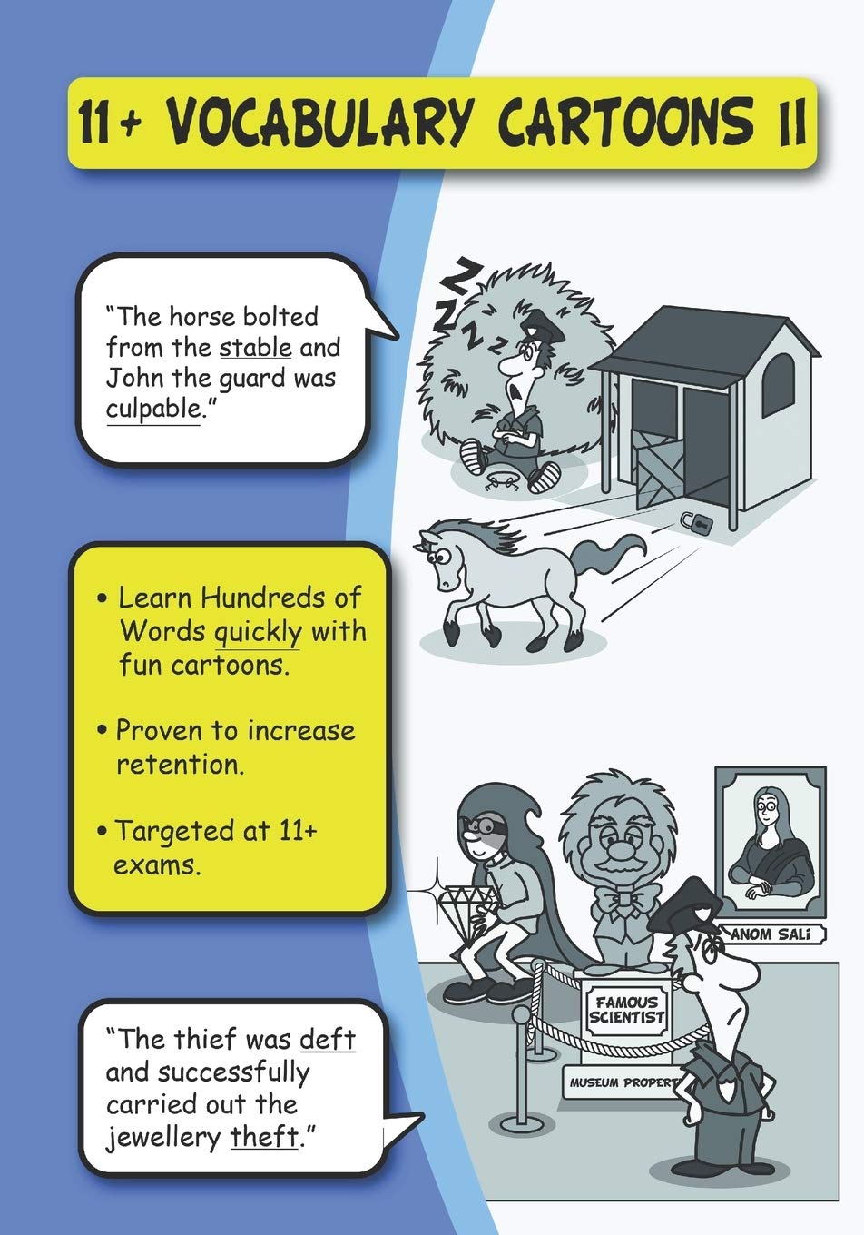 11+ Vocabulary Cartoons II,Used