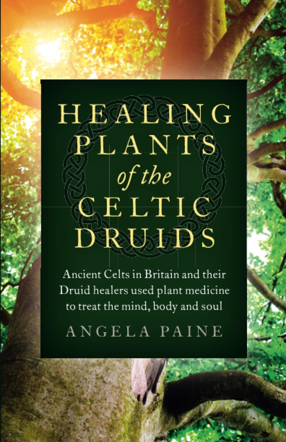 Healing Plants of the Celtic Druids,Used