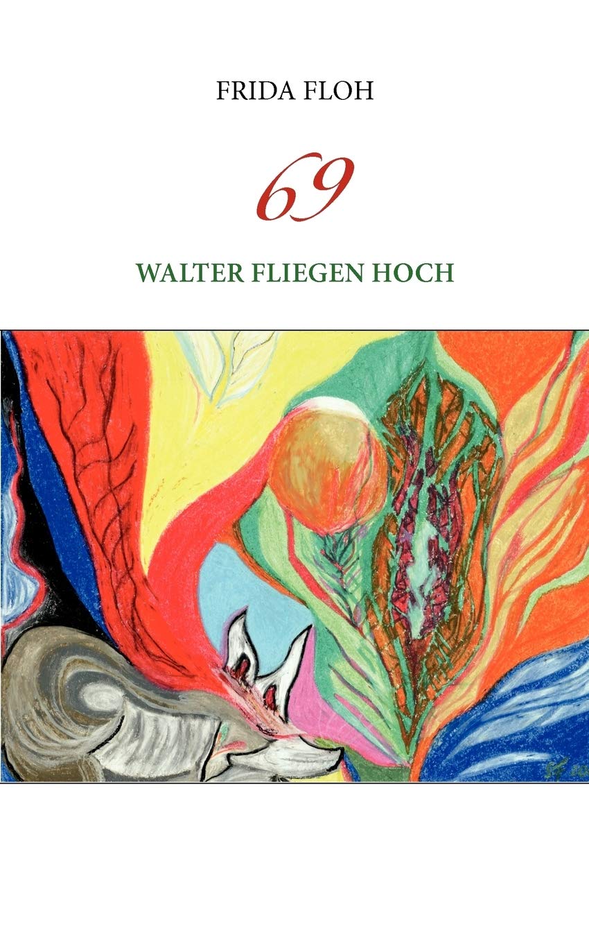 69: Walter fliegen hoch (German Edition),Used