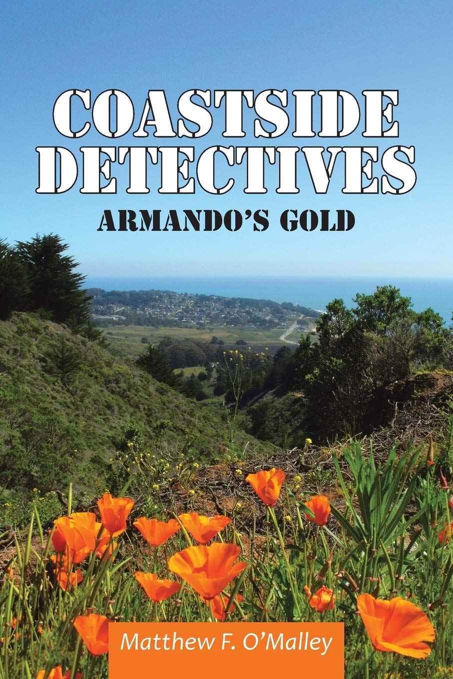 Coastside Detectives,Used