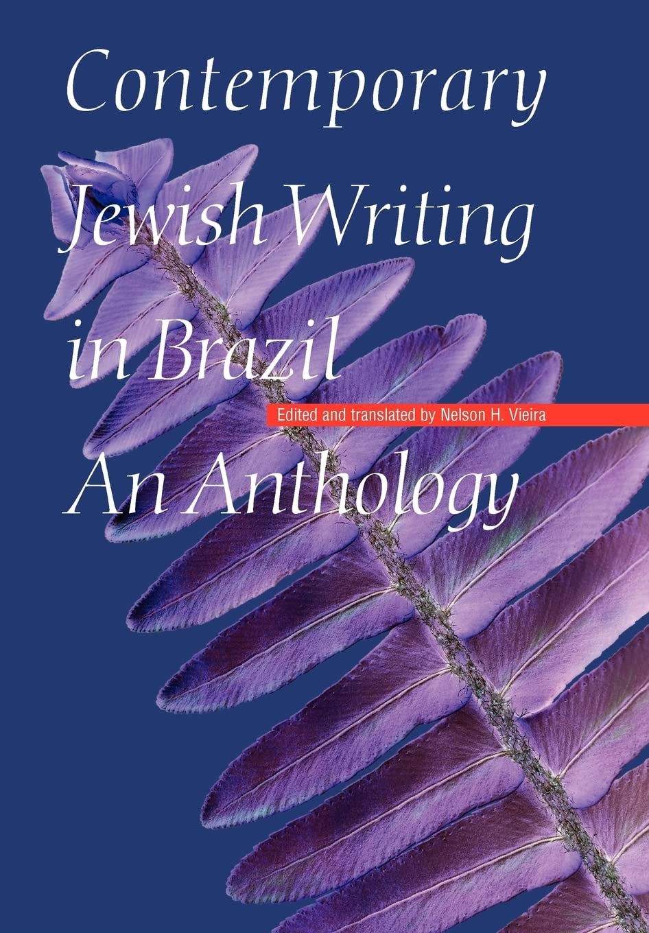 Contemporary Jewish Writing In Brazil: An Anthology (Jewish Writing In The Contemporary World),Used