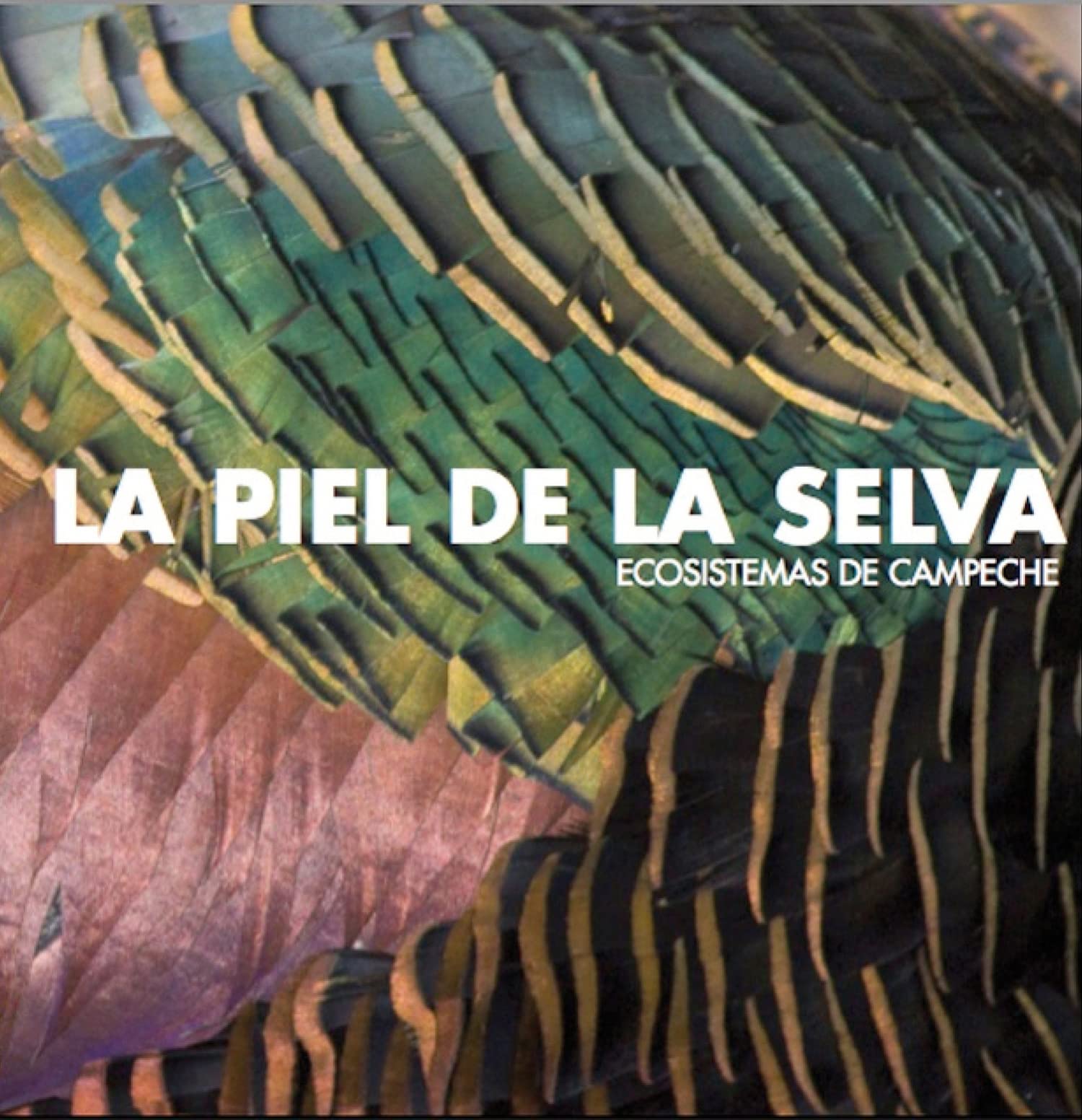 The Skin Of The Rainforest: Ecosystems In Campeche,Used