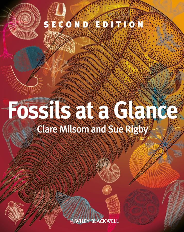 Fossils at a Glance,Used