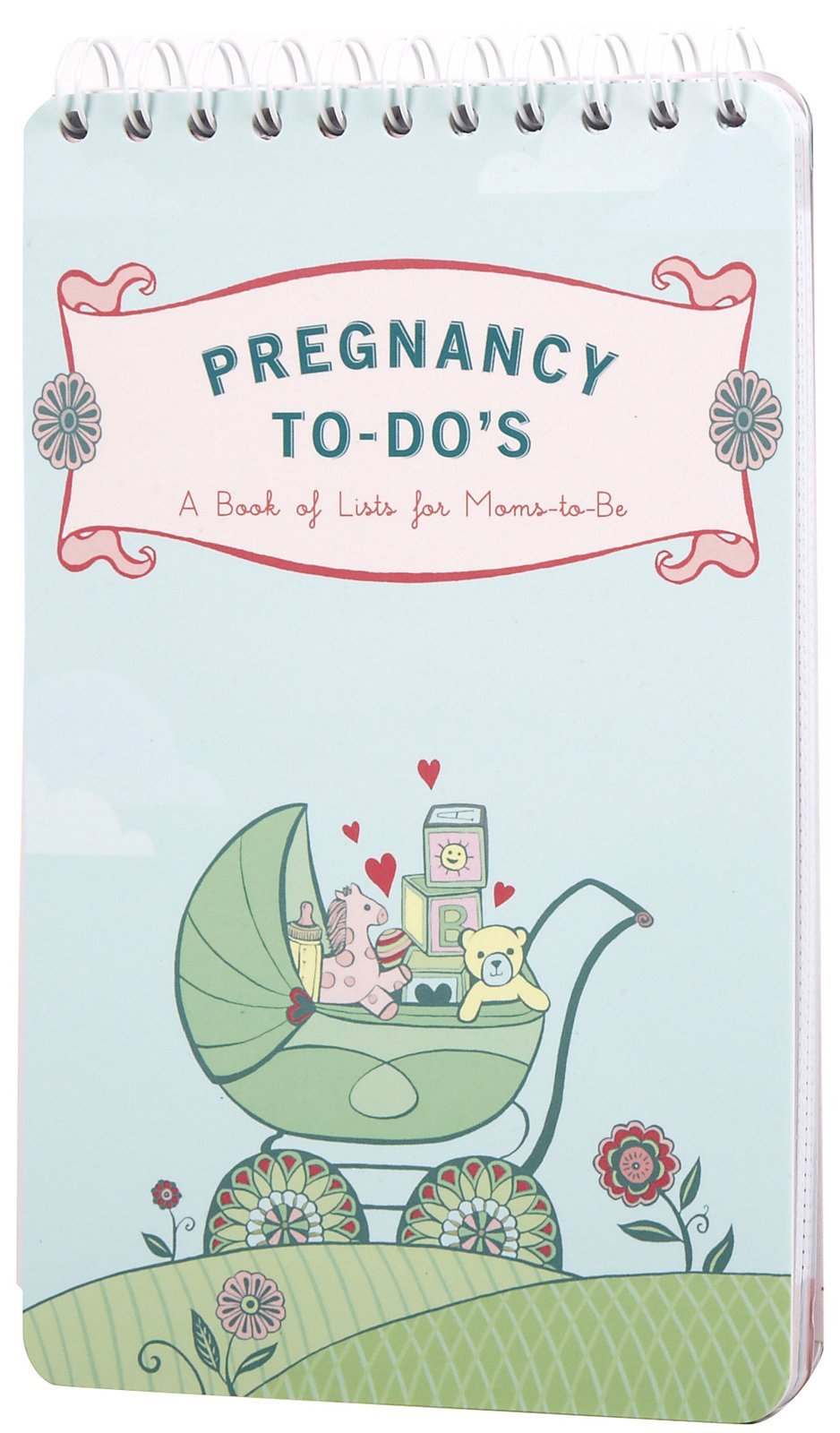 Pregnancy Todo'S: A Book Of Lists For Momstobe