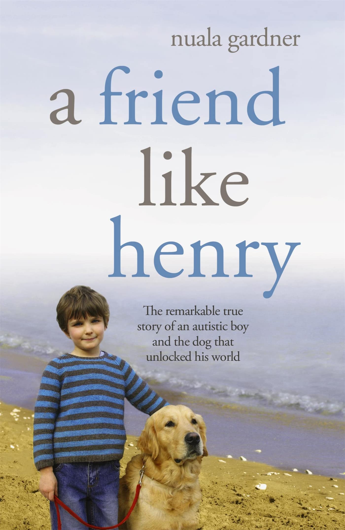 A Friend Like Henry,Used