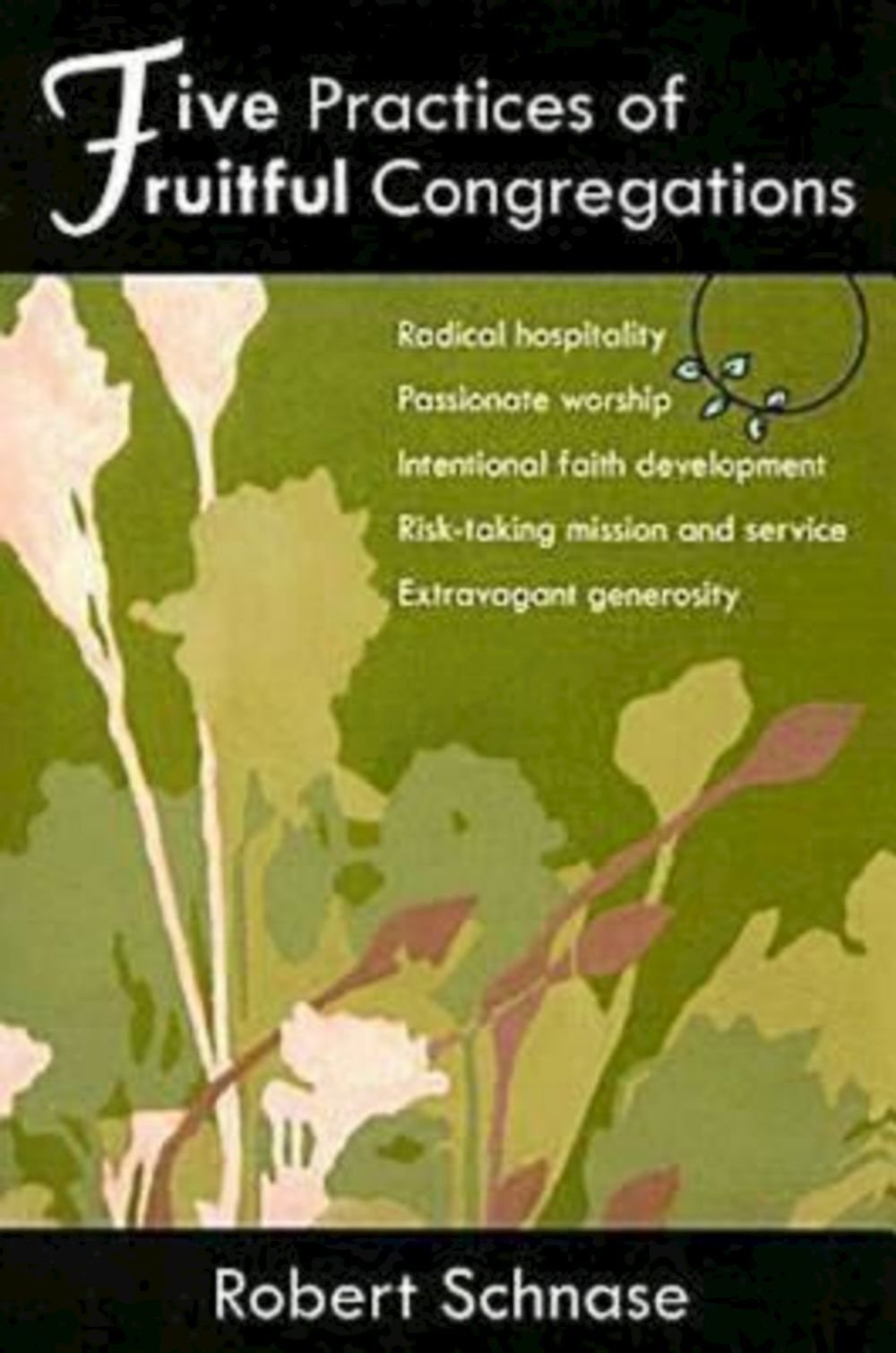 Five Practices of Fruitful Congregations,Used